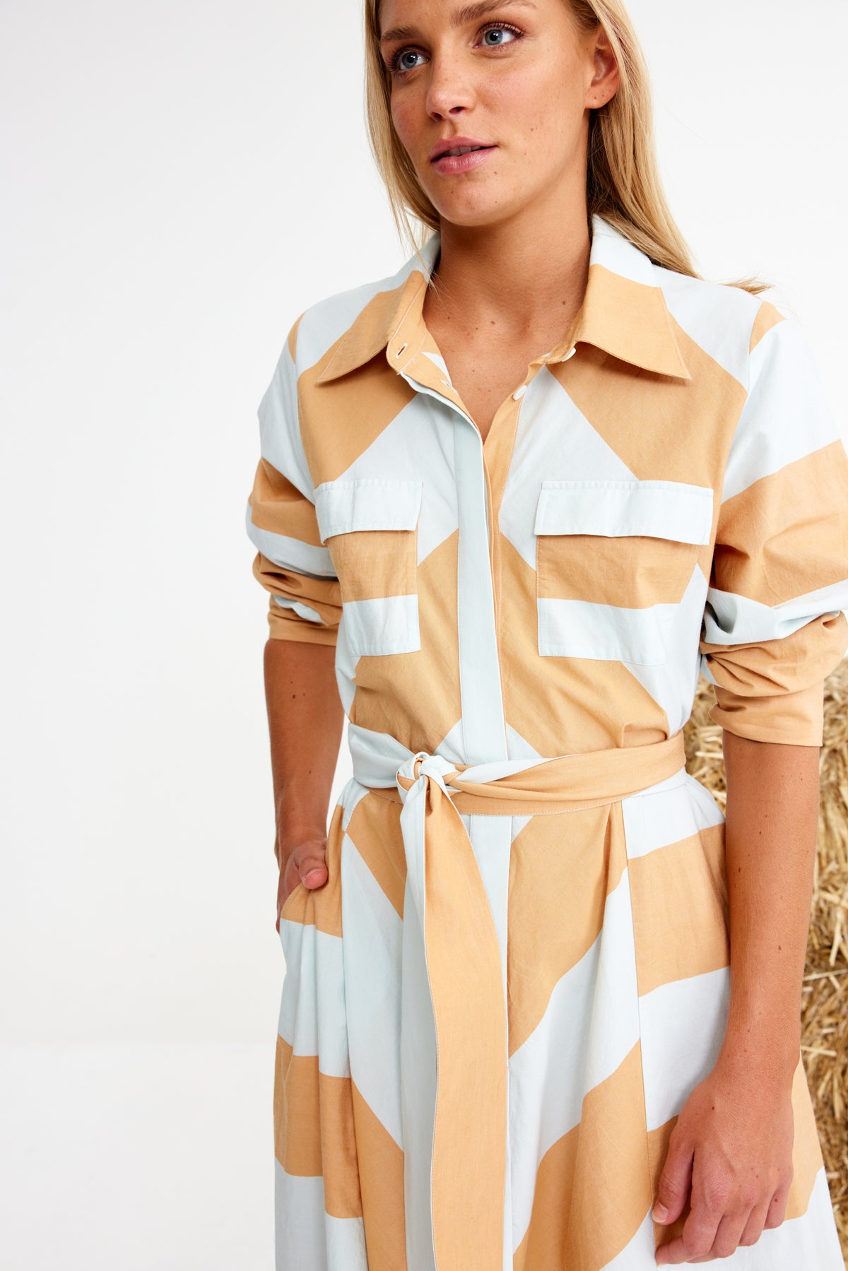 Chestnuts Dress