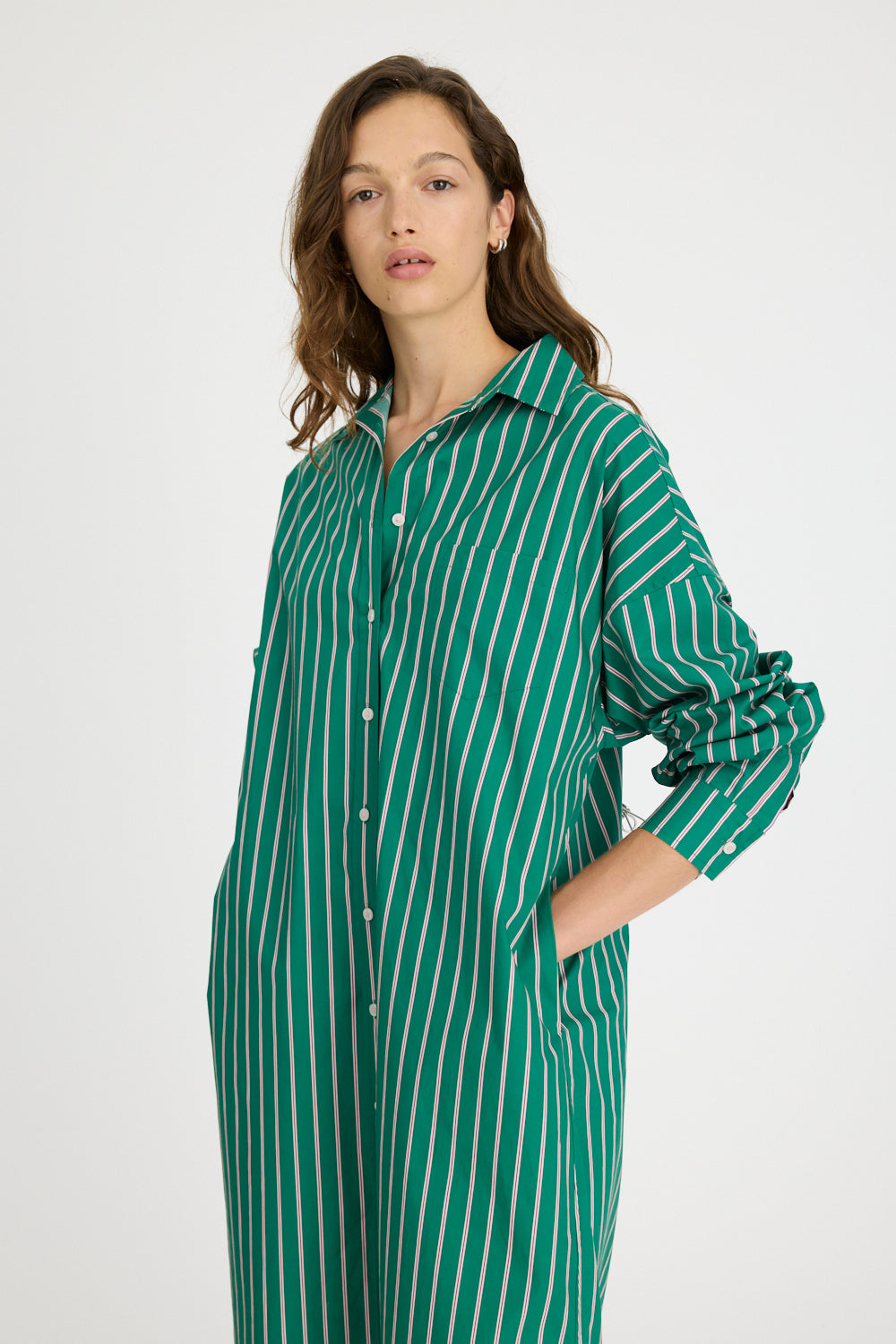 Chiara Maxi Dress in Verdant / Pink & Navy