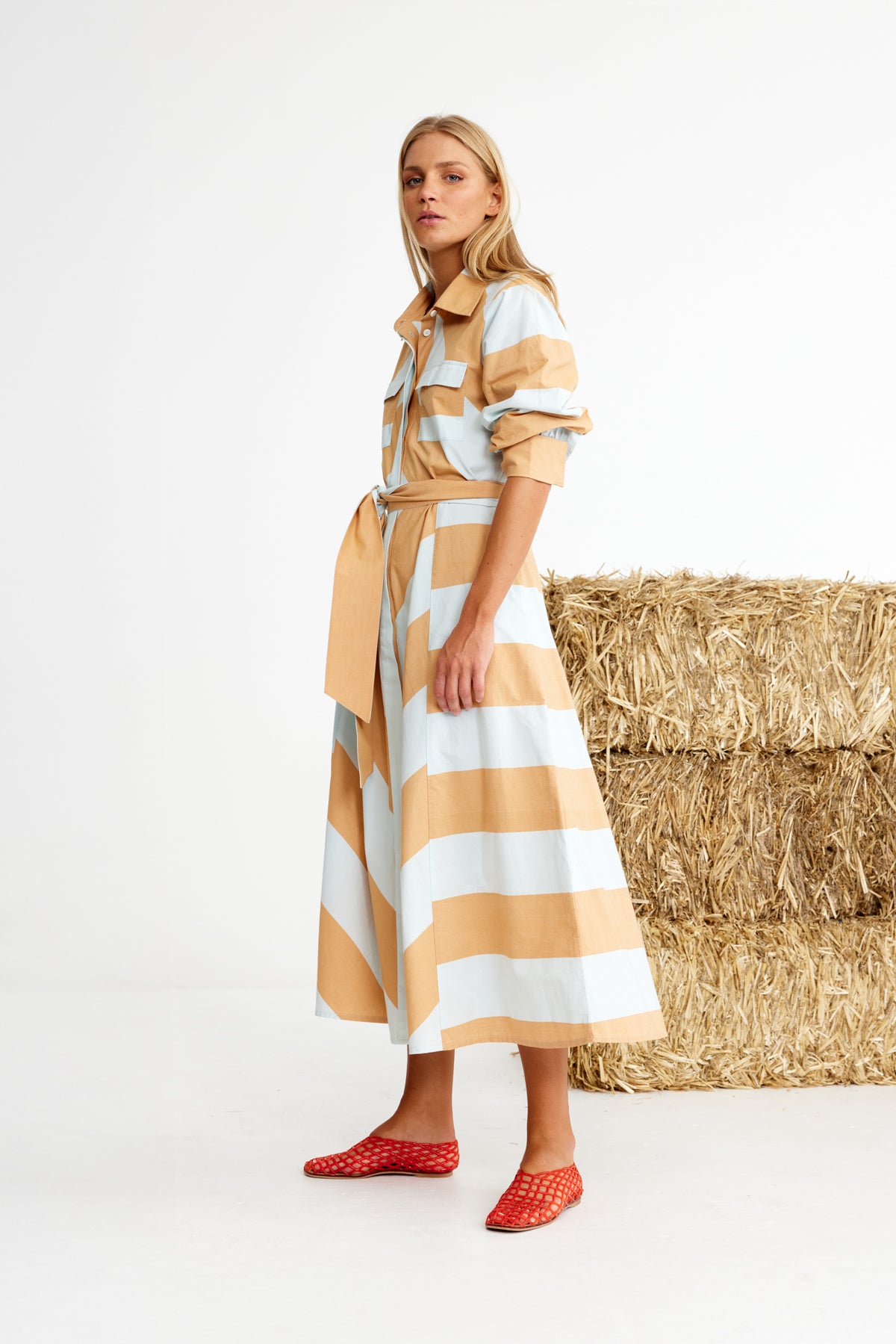 Chestnuts Dress