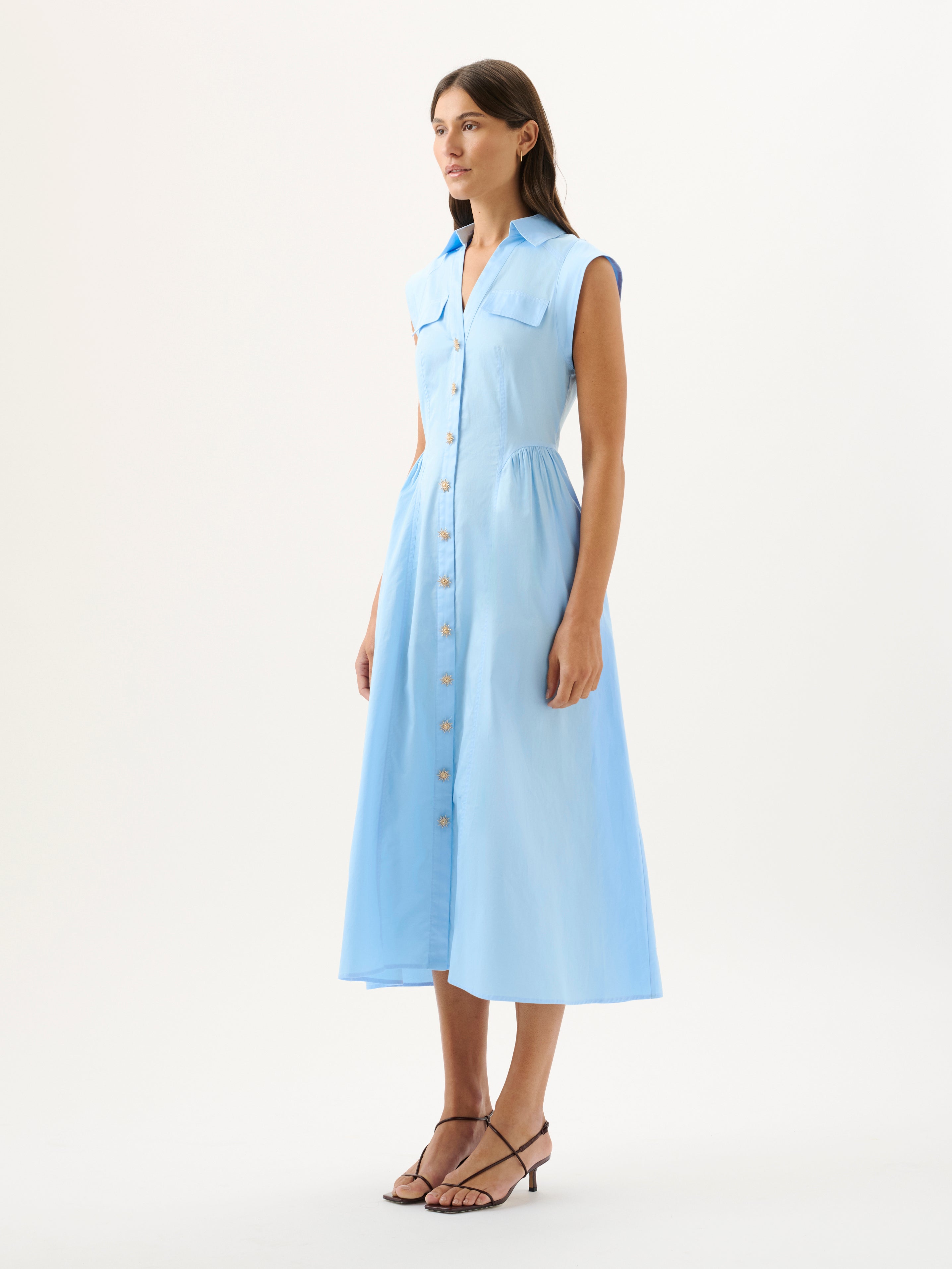 Skylar Dress in Blue