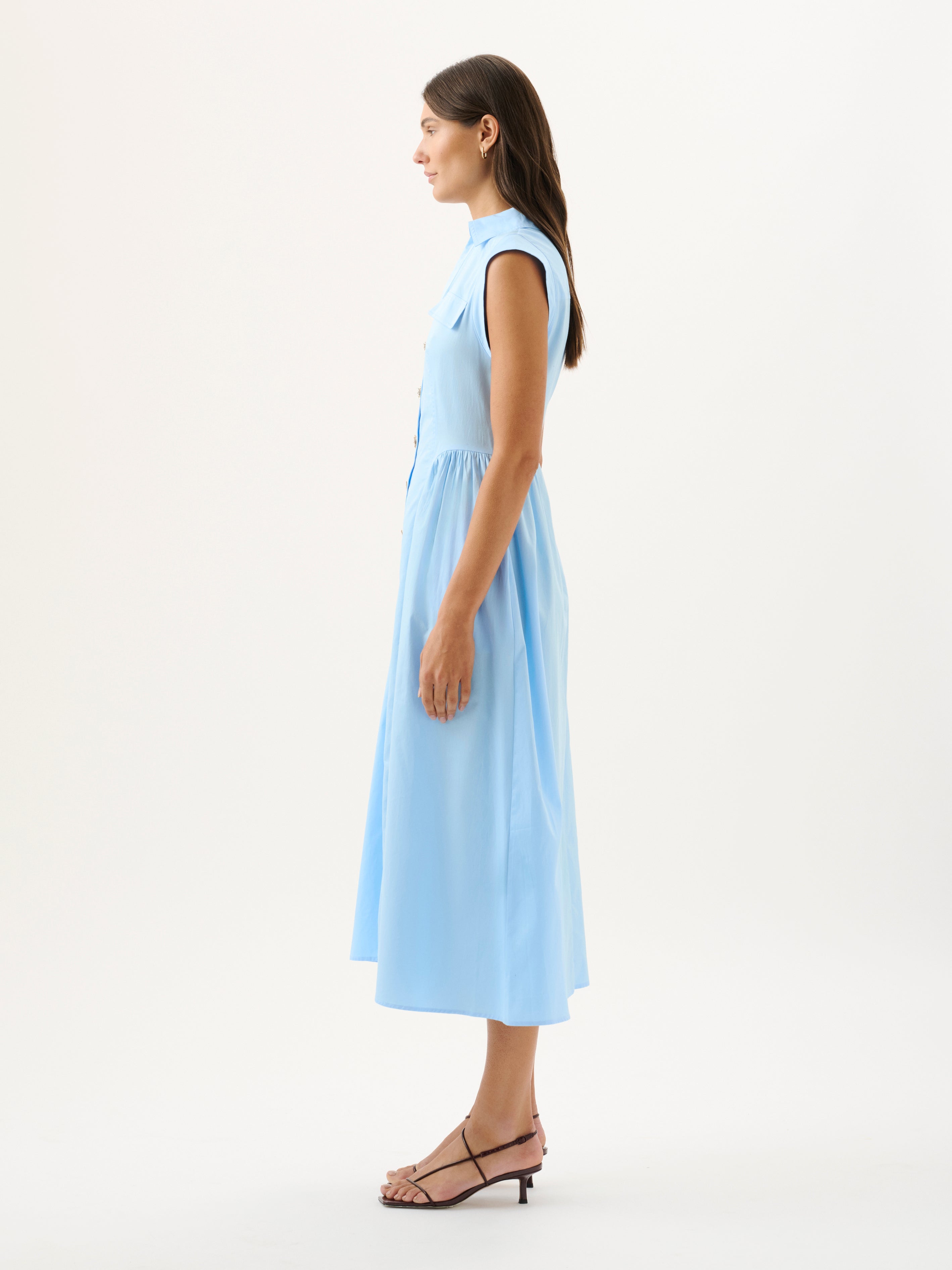 Skylar Dress in Blue